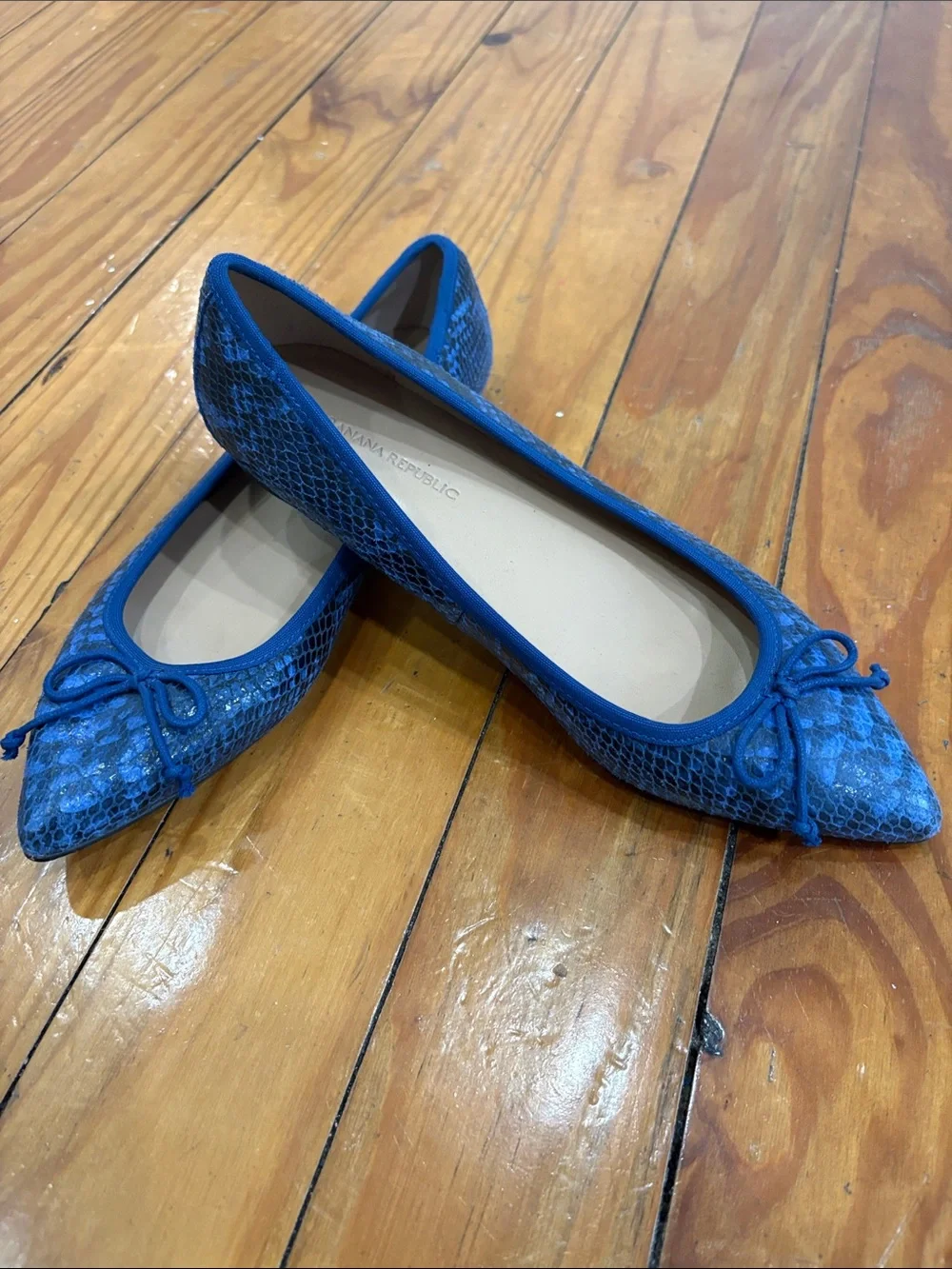 Banana Republic Blue Snake-Print Pointed Ballet Flats